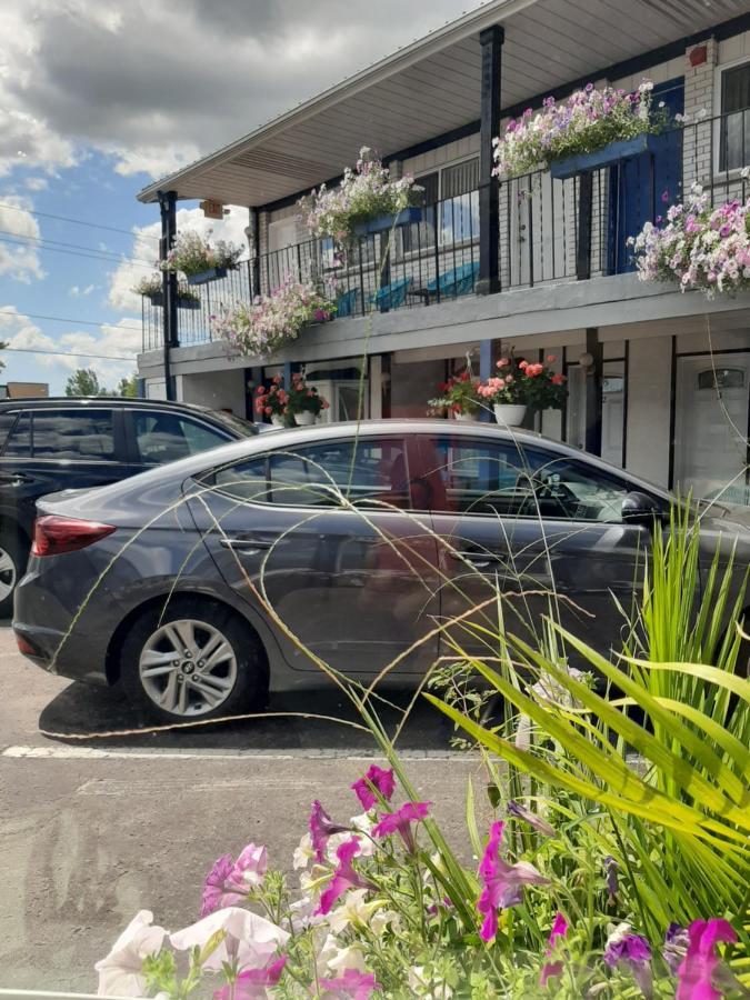 Blue Moon Motel Niagara-Fälle Exterior foto